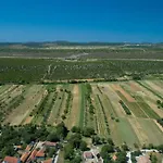 Frane Near Krka Waterfalls & Sibenik