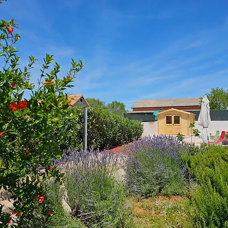 Frane Near Krka Waterfalls & Sibenik