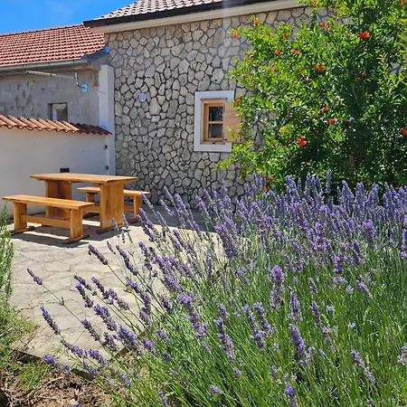 Frane Near Krka Waterfalls & Sibenik Ladevci