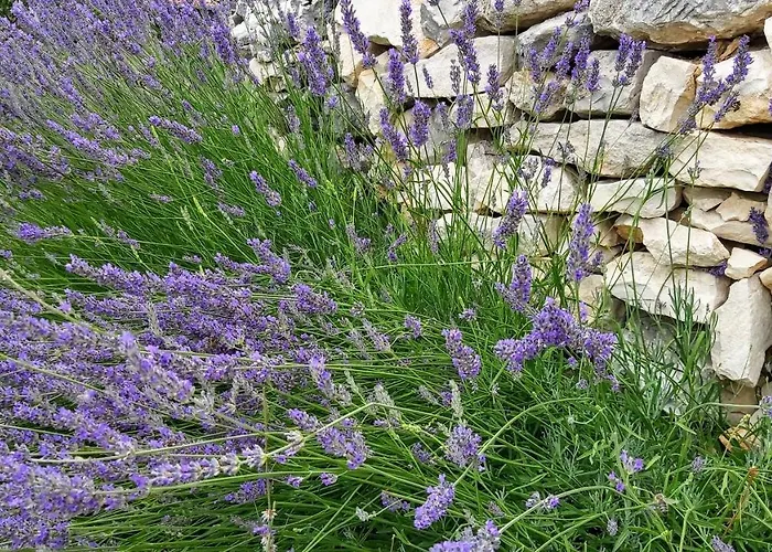 Vakantiehuis Frane Near Krka Waterfalls & Sibenik